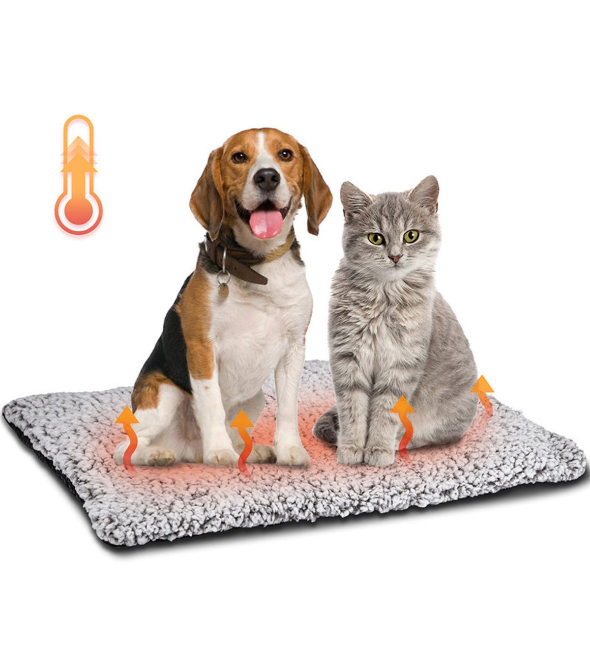 Warm without electricity